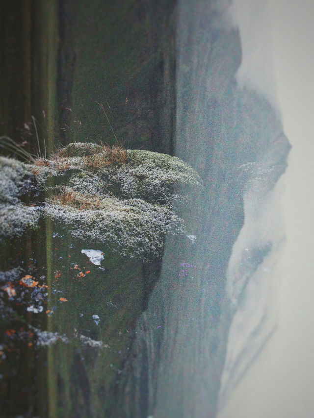 🌫️ 안개 사이로 울리는 폭포의 숨결 🇮🇸