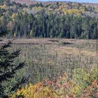 Algonquin Provincial Park