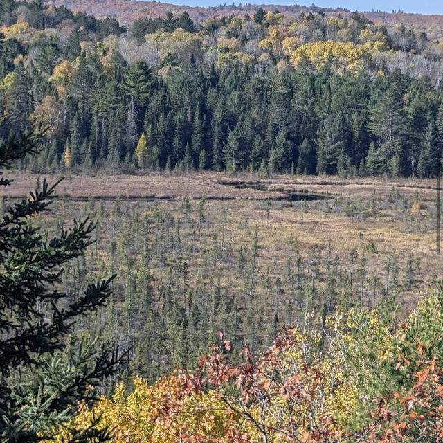 Algonquin Provincial Park