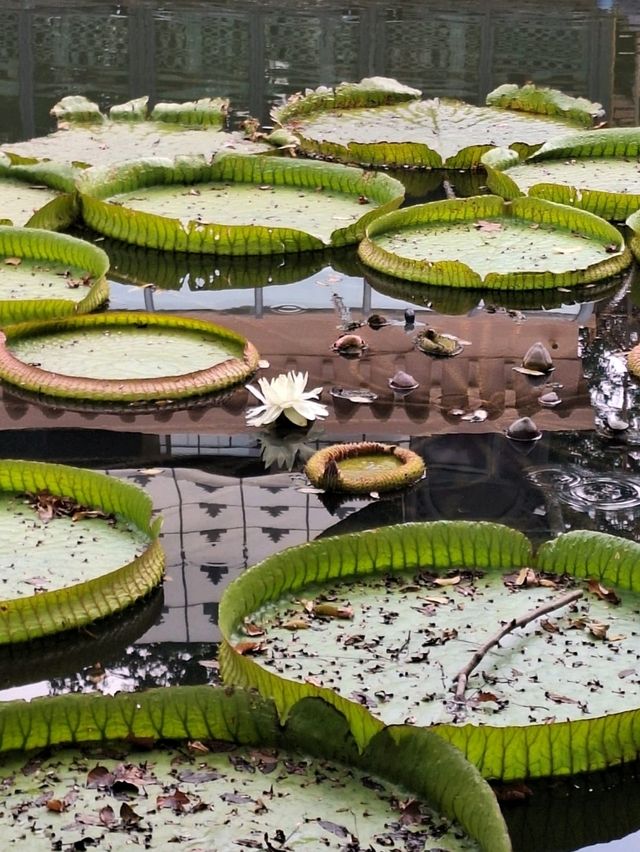 Красивые локации для фото в Шанхае (часть 2) Красивые локации для фото в Шанхае (часть 2)