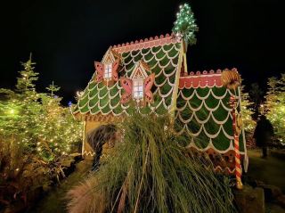 บรรยากาศคริสต์มาสเปลี่ยนโฉมสวน Alnwick หลังพระอาทิตย์ตกดิน 🎄✨🌲