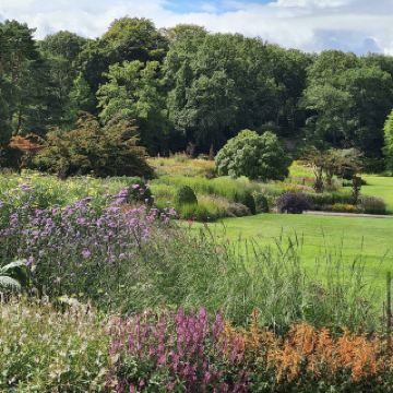 RHS Garden Harlow Carr