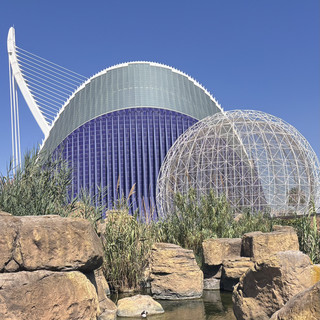 The Oceanogràfic Digital Souvenir – Your Photos Are the Real Story 🖼️