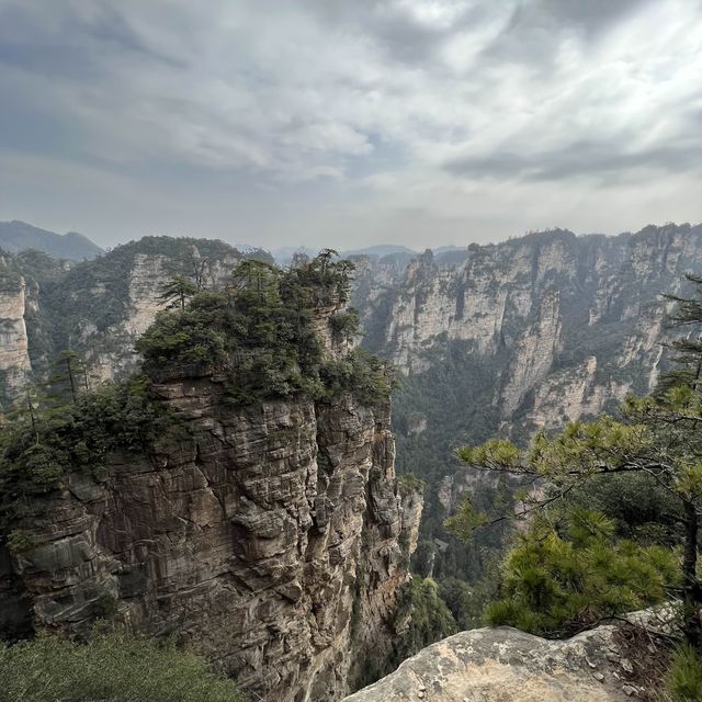 Zhangjiajie National Forest Park. 