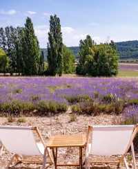 Australian Lavender 🌟 Please bookmark the South France Lavender Guide.