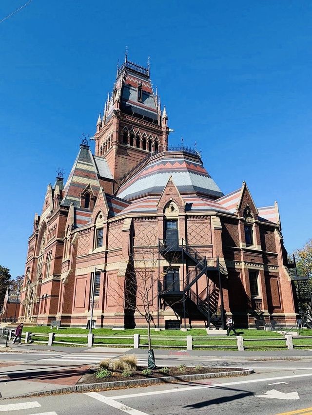 World-renowned university "Massachusetts Institute of Technology", a must-visit in Boston!