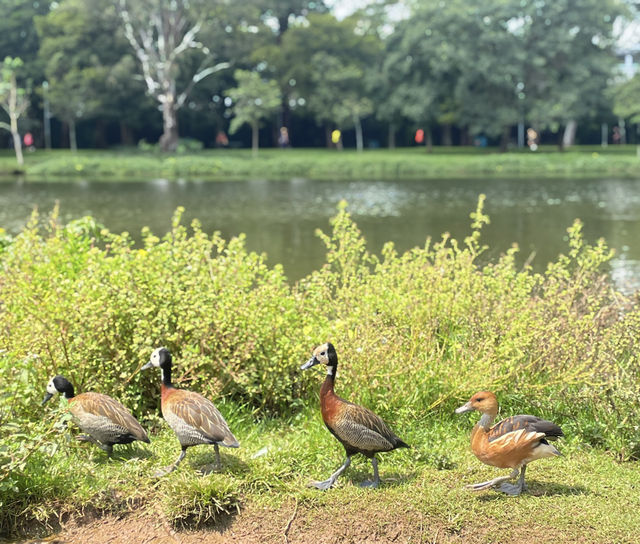 São Paulo · Ibirapuera Park