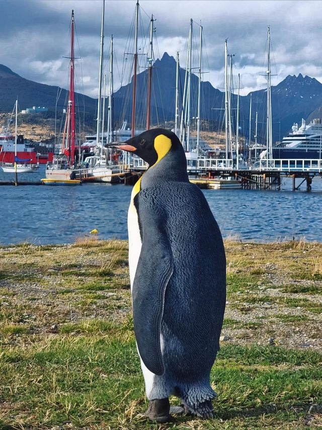 The southernmost city on Earth | Ushuaia