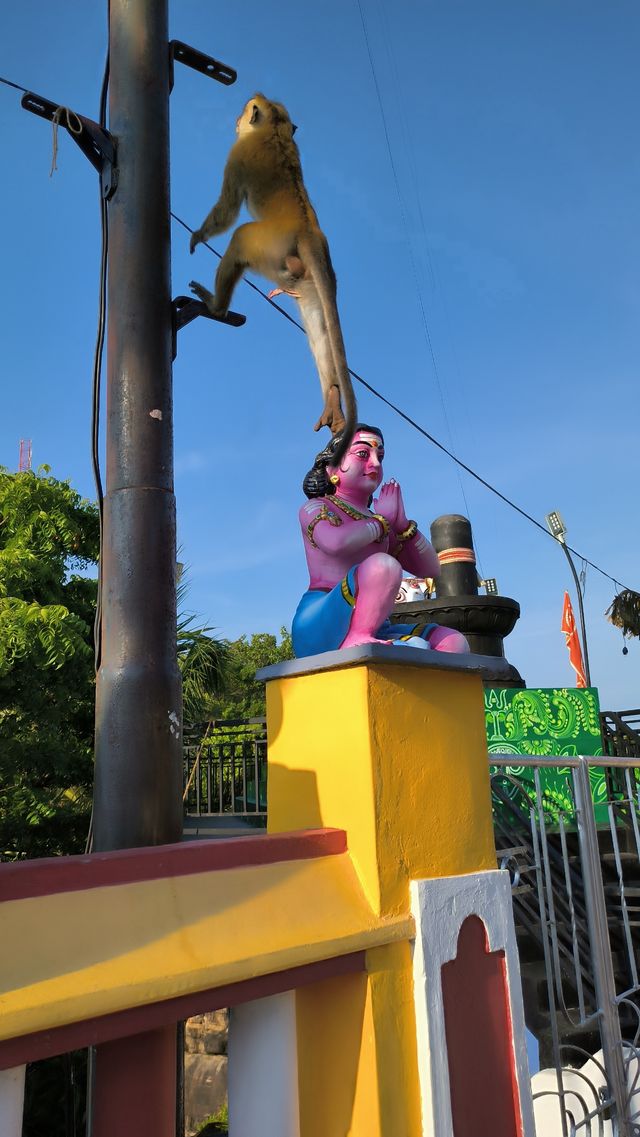 altTitle