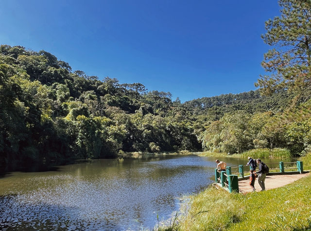 Explore Parque Estadual da Cantareira in São Paulo.