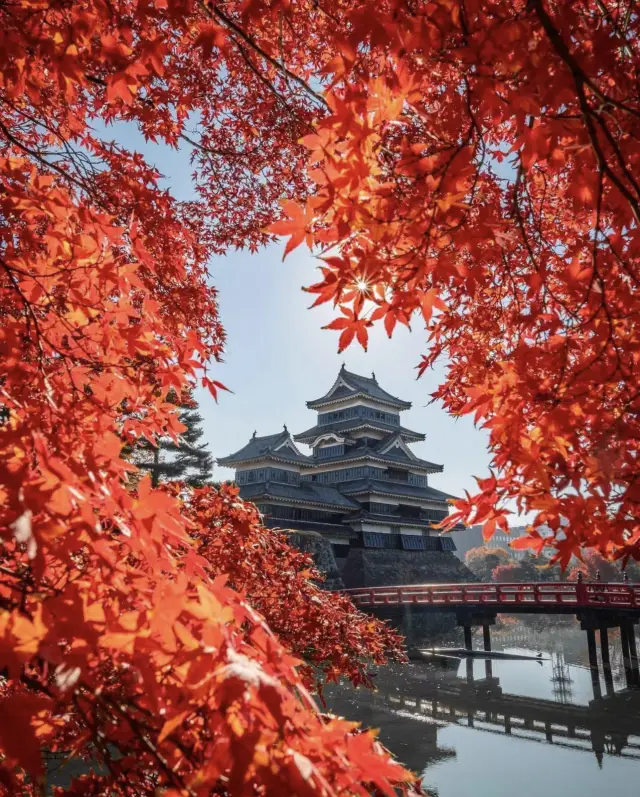 7大關西地區賞楓景點🍁