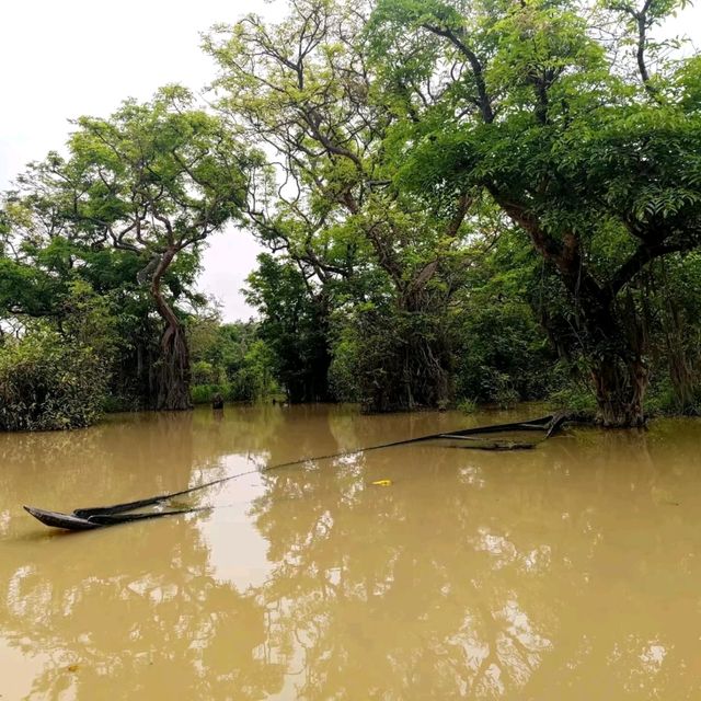 🛶When The Forest Gets Flooded Water 🛶