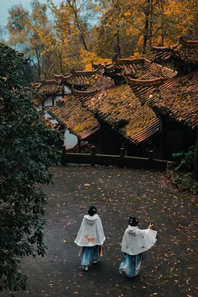 成都銀杏｜在秋天，你注定要與山野來往