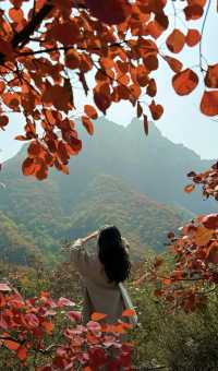 洛陽竟然有這麼仙的地方！荊紫仙山，被譽為“黃河明珠”，擁有得天獨厚的自然山水資源