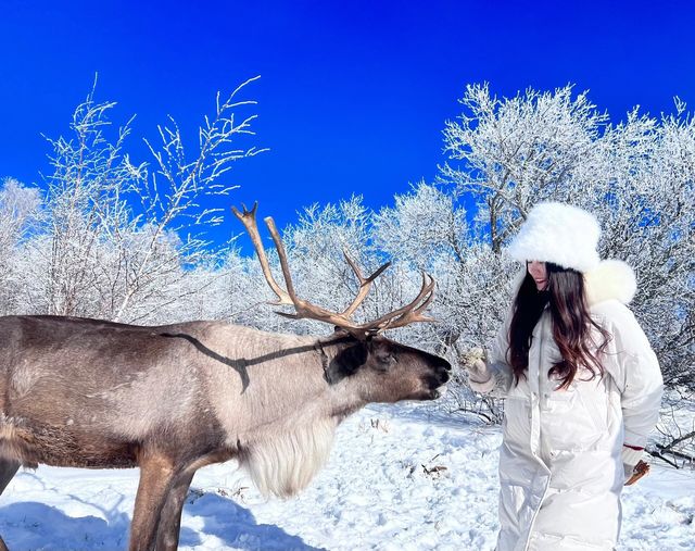 長白山雪嶺，真的巨美！！！