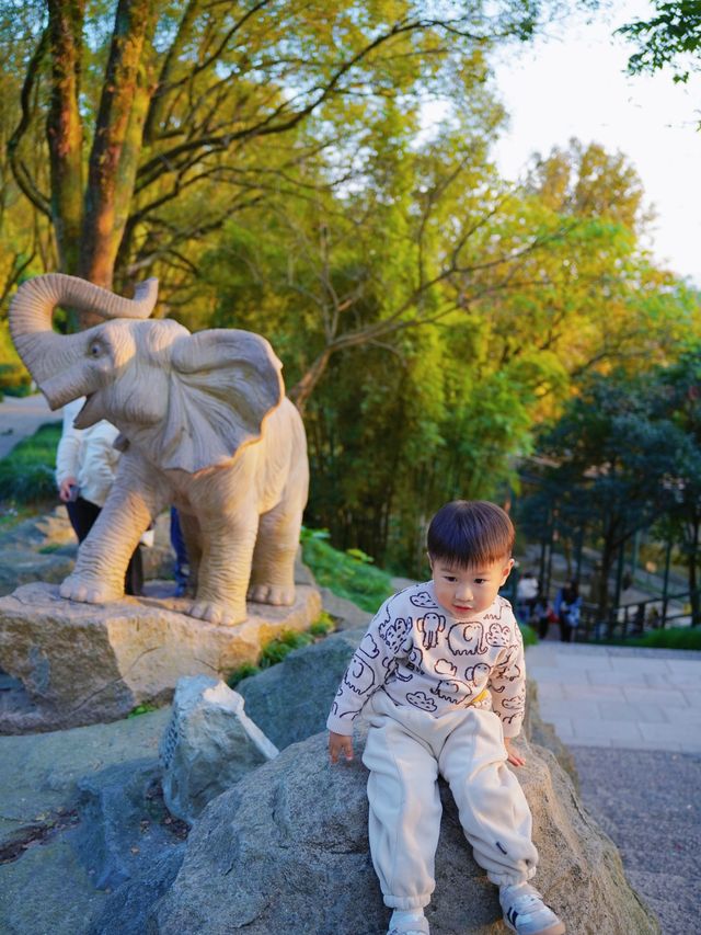 親子好去處溫州景山動物園爬山看動物