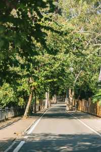 福州國家森林公園的遊玩推薦