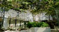 藏在泉州都市裡的室內“空中花園”