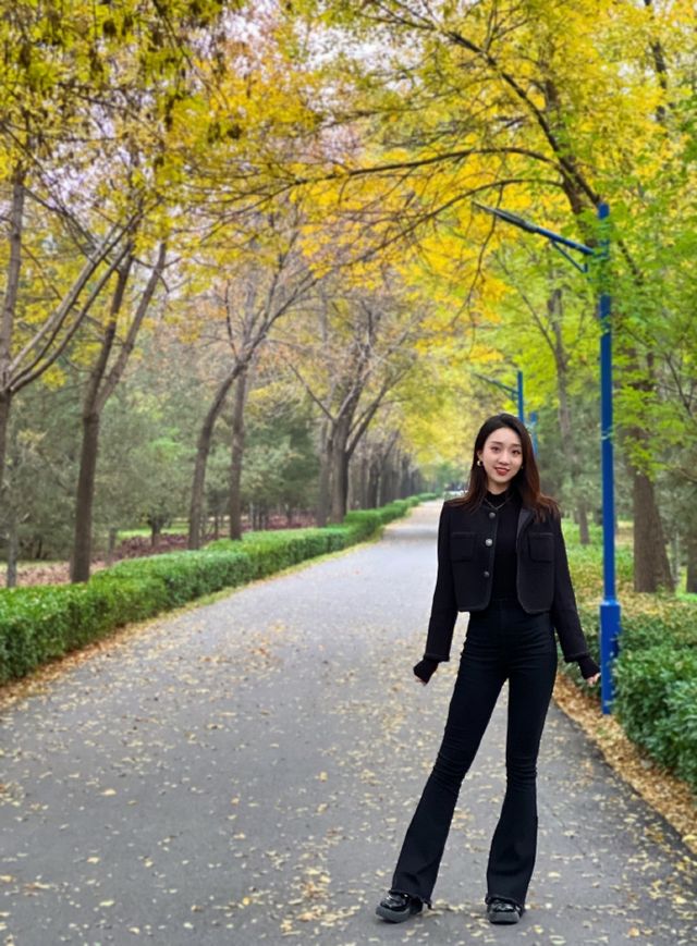 秋冬版City walk｜來太原森林公園踩樹葉啦！