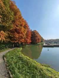 虎丘濕地公園，你想像不到它有多美