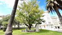 馬雷斯考特醫生Monumento ao Doutor Mar