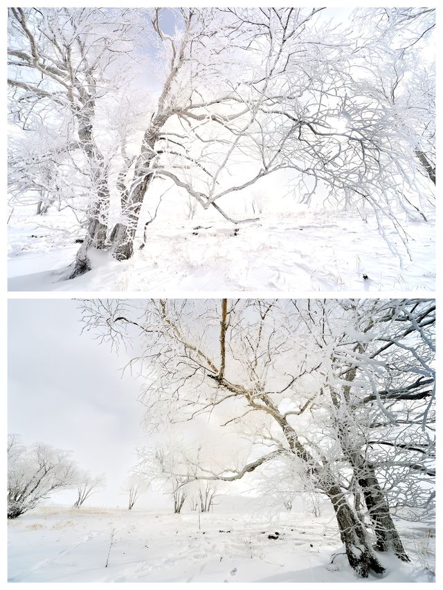 有遺憾也有驚喜，長白山西坡之旅，偶遇雪凇奇觀