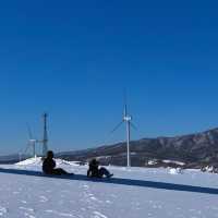 冬天的江原道一定要去！“浪漫又可愛”