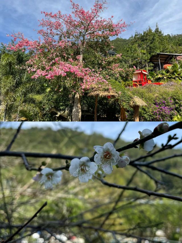 天露山雲浮爬山攻略