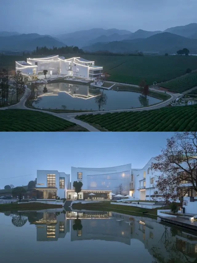 만경 차원 산야 사유탕과 따뜻한 겨울을 보냈습니다