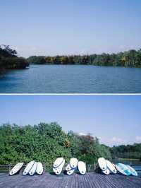 廣州團建好去處|不能錯過的南沙冬日觀鳥季