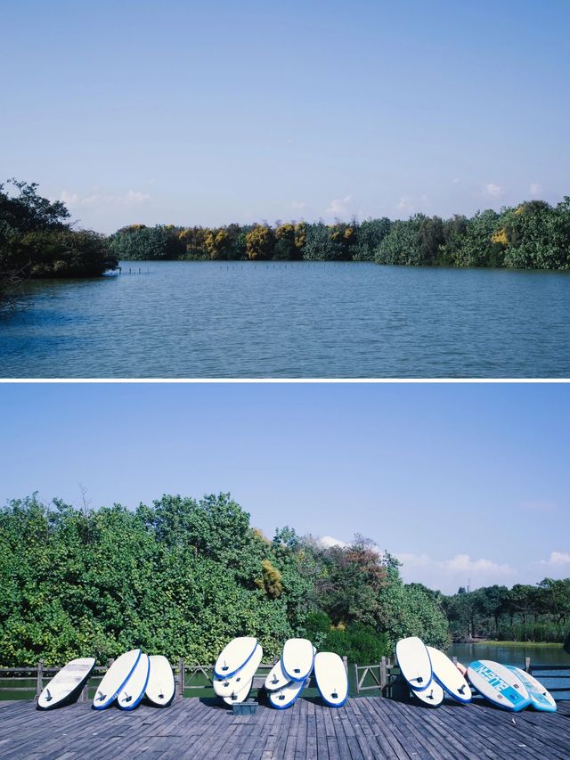 廣州團建好去處|不能錯過的南沙冬日觀鳥季