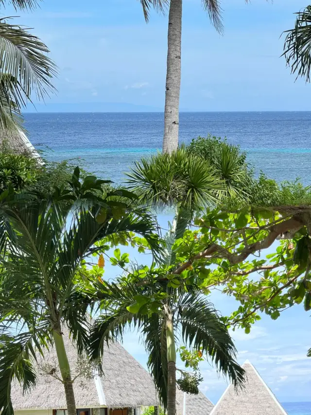 Bohol Island, Philippines, the photos straight from the phone are so beautiful that they make you cry!!