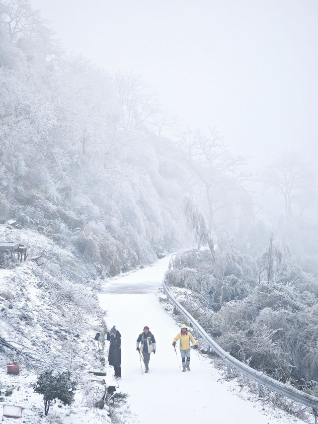 益陽也藏著自己的"長白山"