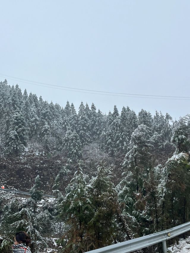 永州看霧凇，這次真是夠累的啦！