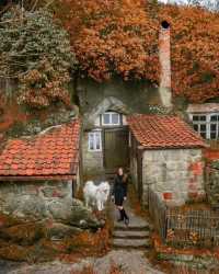 TOP 10 PLACES IN THE HARZ MOUNTAINS, GERMANY 🇩🇪
