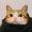 Reed_Catherine_42