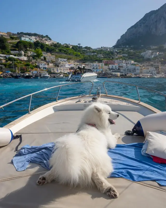🎉🚤 Experience the ultimate boat life in Capri, Italy and make unforgettable memories! Who's in? 😍🌊