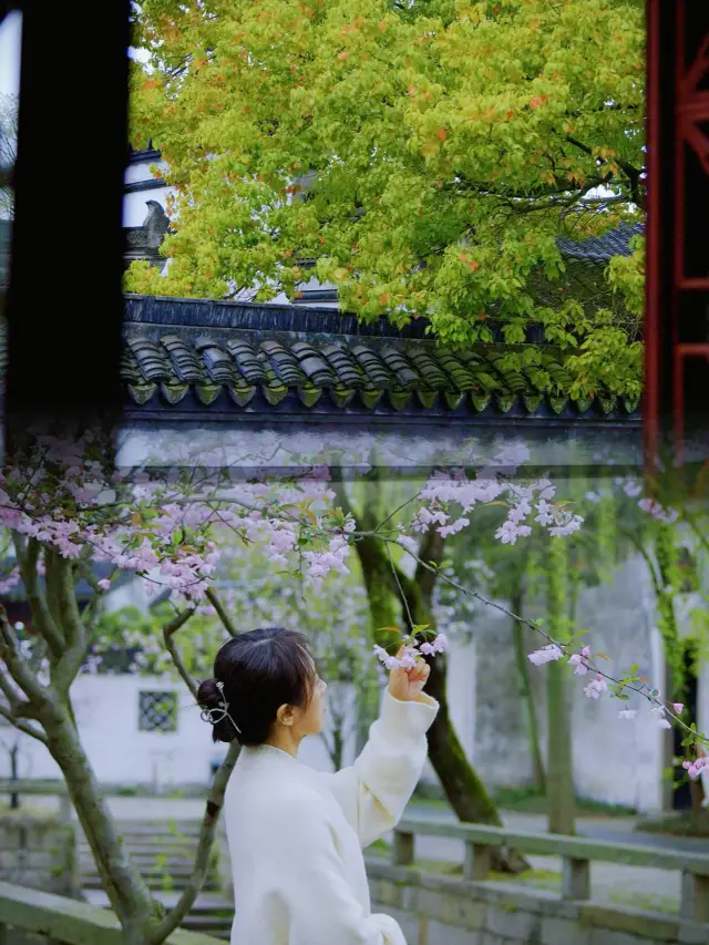 In March, Suzhou is imbued with all the gentleness of the Jiangnan region