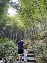 從上海自駕3小時到溧陽,天夜根本不夠玩!