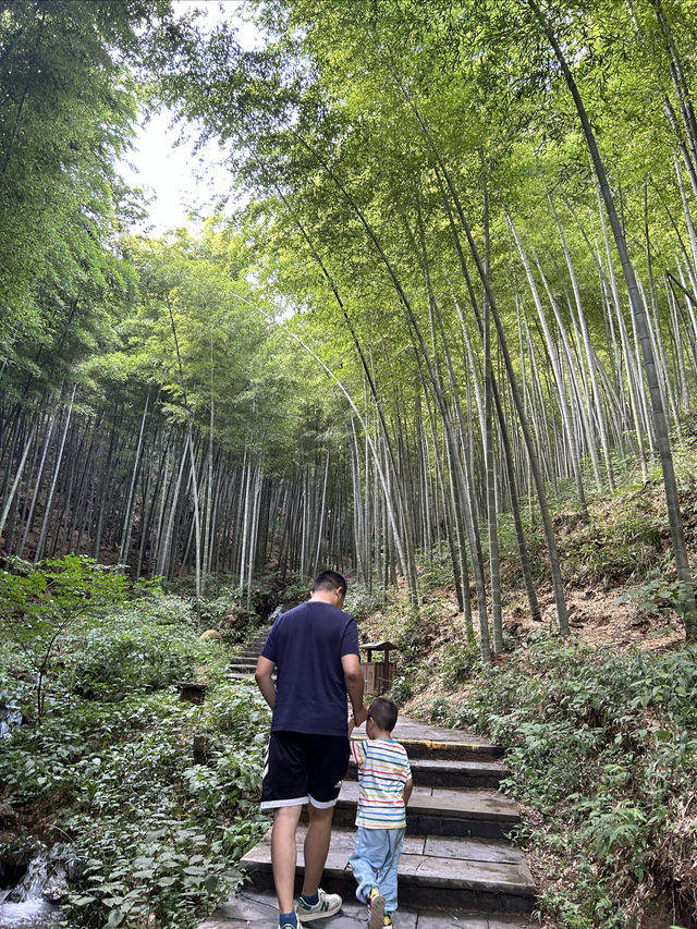 從上海自駕3小時到溧陽,天夜根本不夠玩! 從上海自駕3小時到溧陽,天夜根本不夠玩!