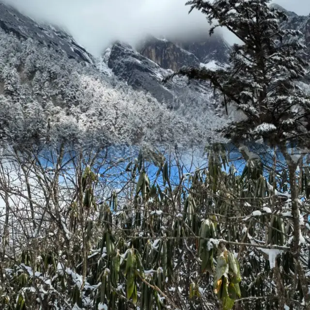 Visit Hailuogou in winter to see the snow~