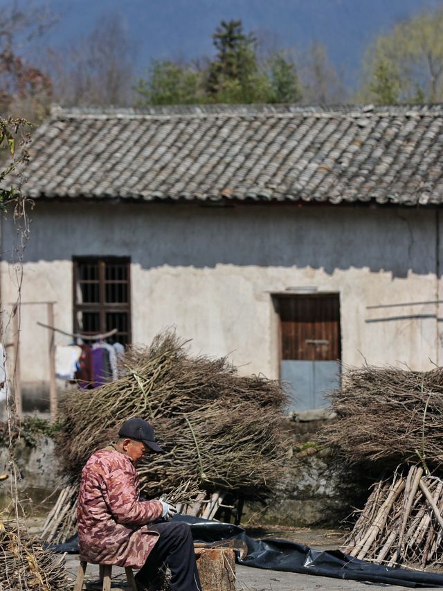 南屏古鎮：歲月靜好，韻味深長