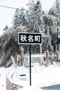 浙北自駕聖地：江浙滬初代秋名山