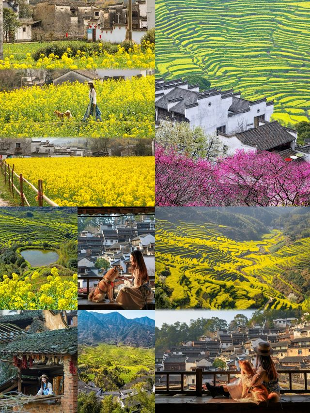 被《國家地理》評為最美春天的古村有多絕