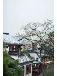 下雪的西塘真的離譜！