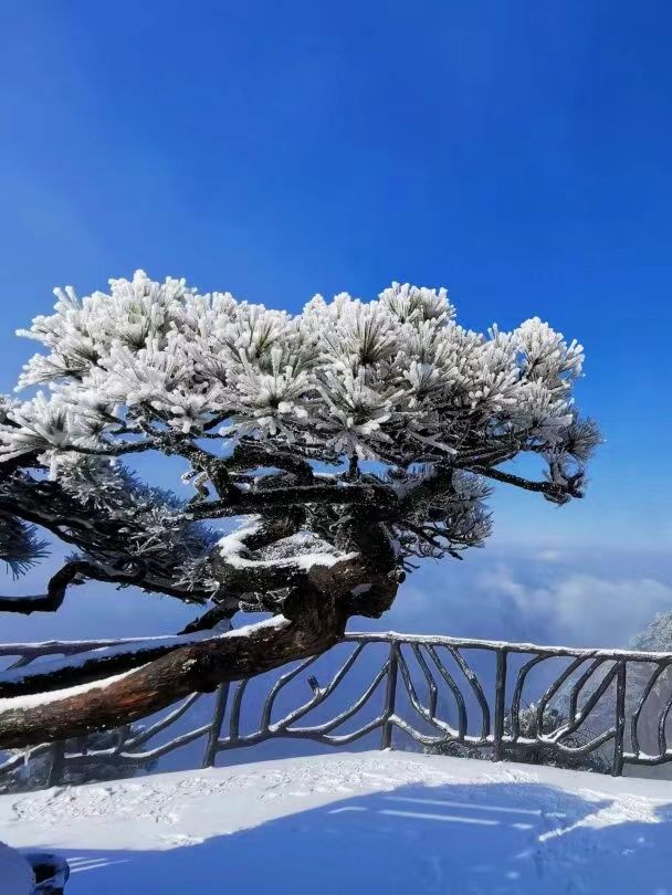 別只盯著東北，三清山的霧凇雪景也超美哒！