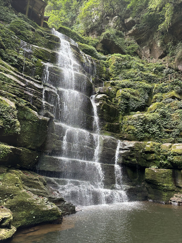 雅安碧峰峽風景區二日遊