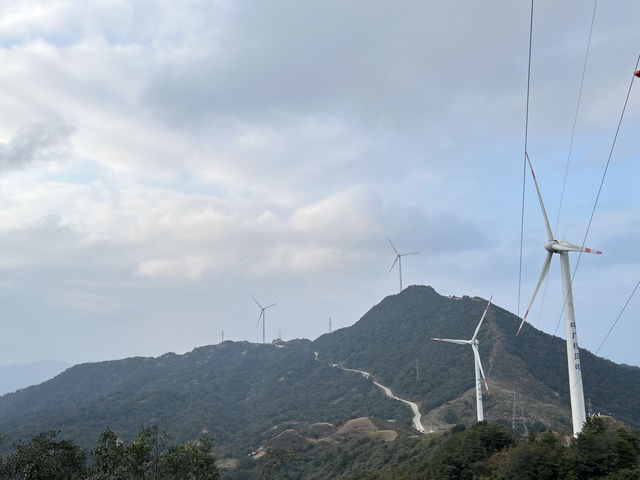 羅定風車山半日遊雲浮拍照聖地推薦