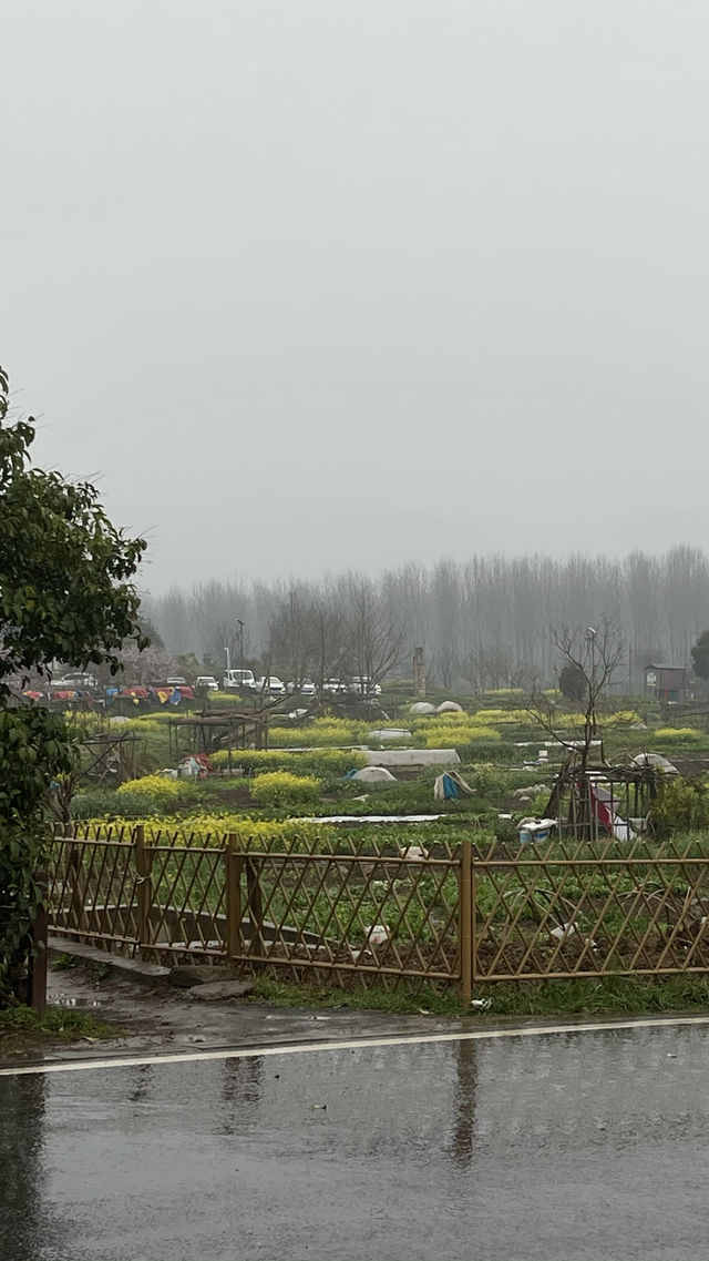 南京佘村半日遊
