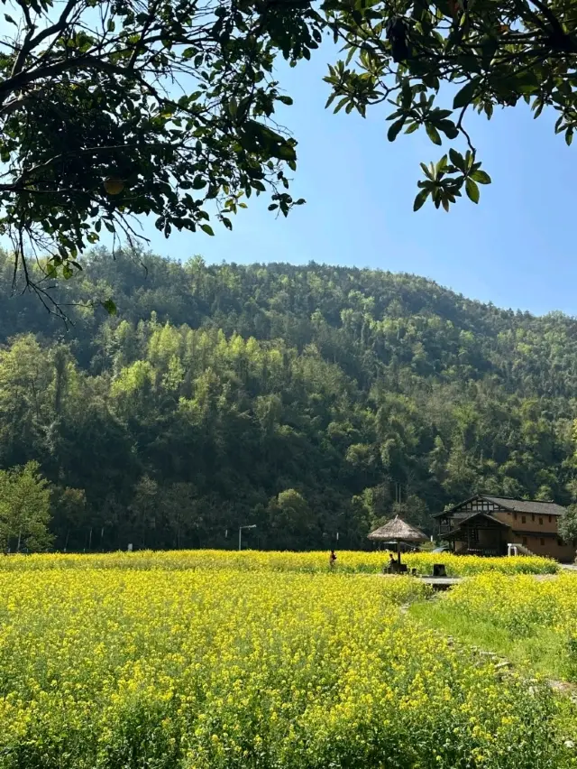 A Sunny and Breezy Day for a Half-Day Tour of the Yellow Dragon Cave in Zhangjiajie